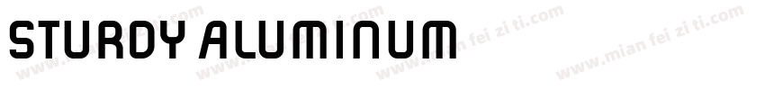 STURDY ALUMINUM字体转换